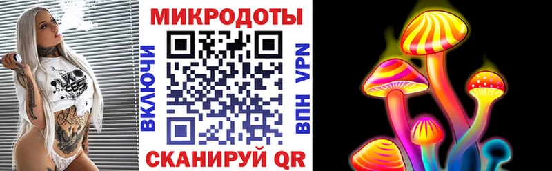 где можно купить   Вилючинск  Псилоцибиновые грибы мухоморы 